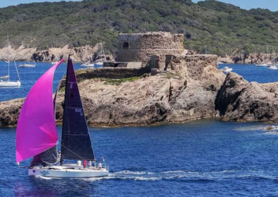 Poisson Garou sous spi lors de la semaine de Porquerolles 2024